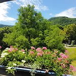 Biosphaerenhotel Graf Eberhard Bei Der Therme 酒店 巴特乌拉赫