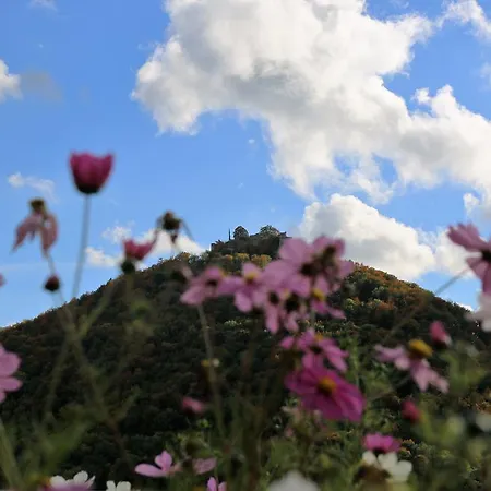 Biosphaerenhotel Graf Eberhard Bei Der Therme فندق