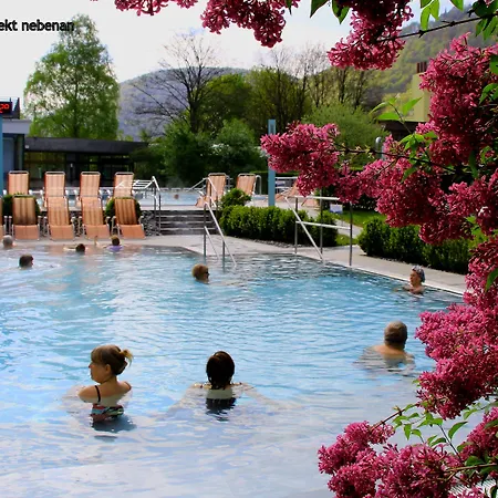 Biosphaerenhotel Graf Eberhard Bei Der Therme