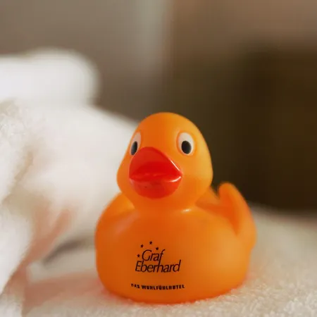 Biosphaerenhotel Graf Eberhard Bei Der Therme 4* Bad Urach