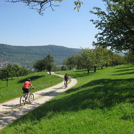 Biosphaerenhotel Graf Eberhard Bei Der Therme 4* باد أوراش