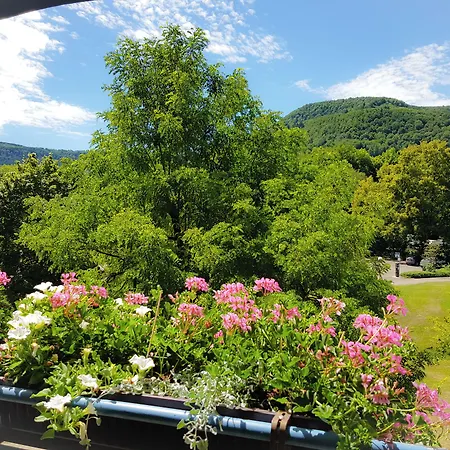 Biosphaerenhotel Graf Eberhard Bei Der Therme 酒店 巴特乌拉赫