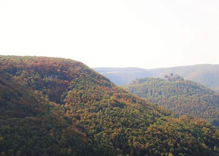 Biosphaerenhotel Graf Eberhard Bei Der Therme Hotel 4*