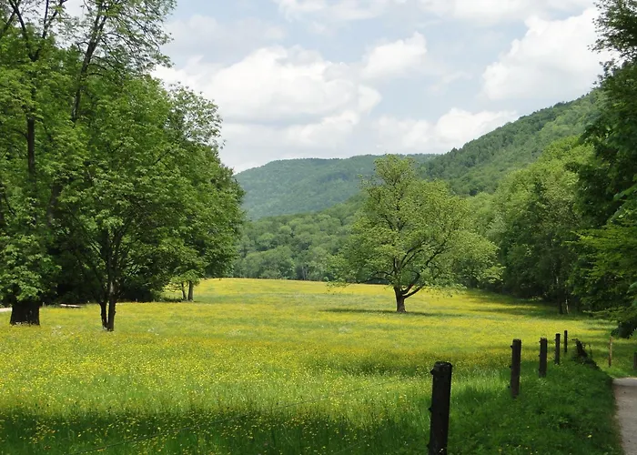 Hotel Biosphaerenhotel Graf Eberhard Bei Der Therme