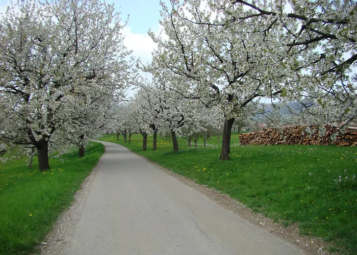 Biosphaerenhotel Graf Eberhard Bei Der Therme 4*