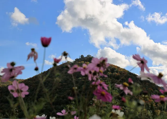 Biosphaerenhotel Graf Eberhard Bei Der Therme Hotel