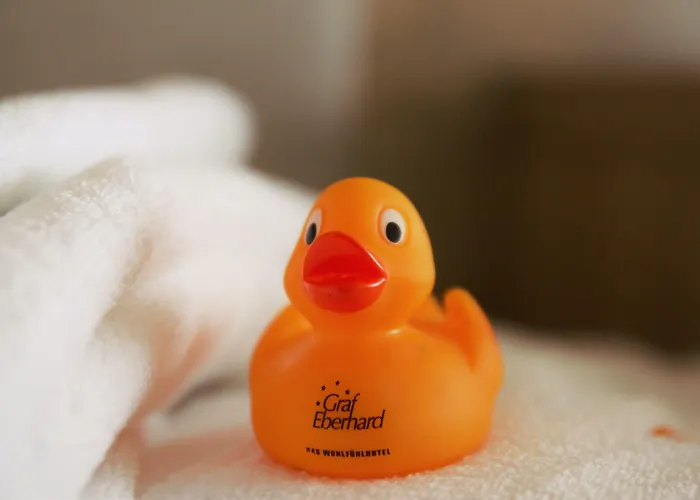 Biosphaerenhotel Graf Eberhard Bei Der Therme 4* Bad Urach