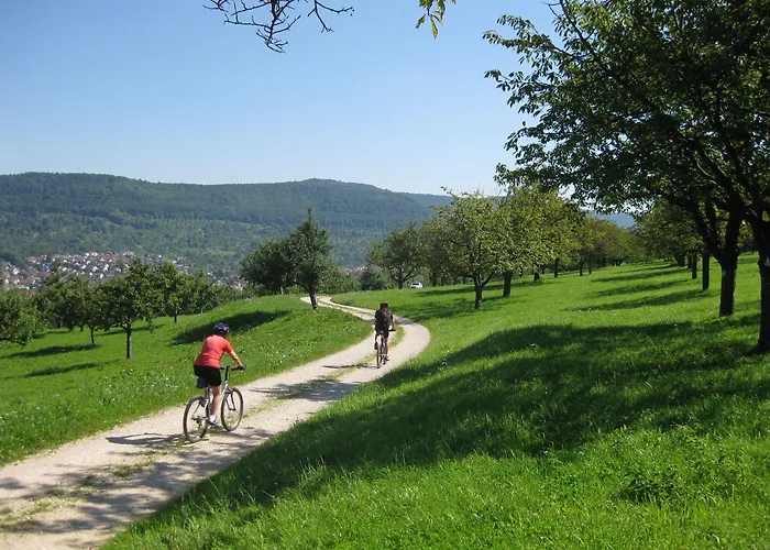 Biosphaerenhotel Graf Eberhard Bei Der Therme 4* Bad Urach