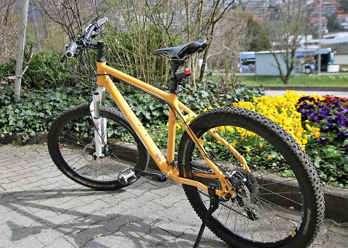 Hotel Biosphaerenhotel Graf Eberhard Bei Der Therme 4*