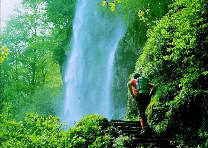 Hotel Biosphaerenhotel Graf Eberhard Bei Der Therme