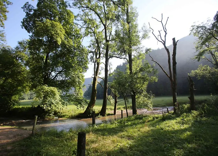 Biosphaerenhotel Graf Eberhard Bei Der Therme